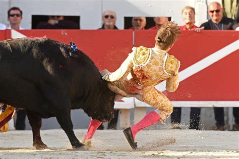 Matador Gored In The Butt By Raging Bull