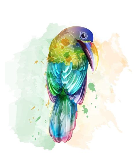 Tropic Colorful Parrot Bird Vector Watercolor Cute Bird Illustration