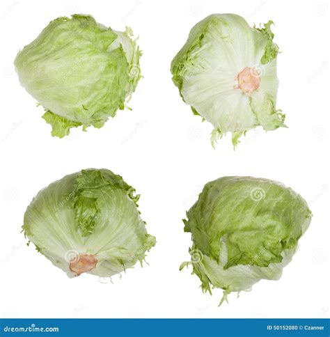 Lettuce Head Stock Photo Image Of Vegetable Single 50152080