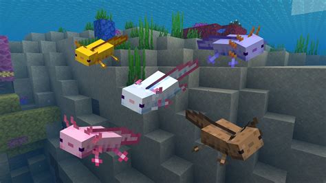 Minecraft Axolotl Colors Rarity