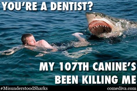 The Misunderstood Shark Meme Comediva