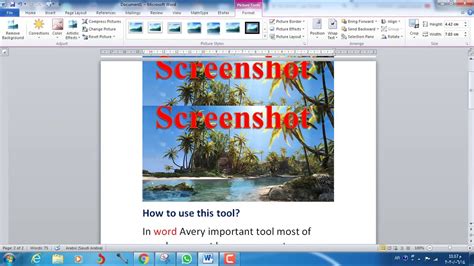 How To Use Screen Shot In Word Youtube