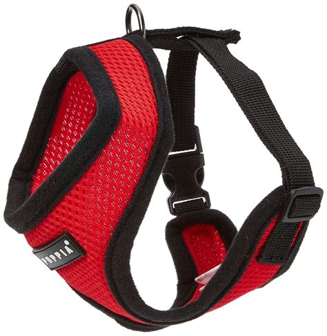 Best Small Dog Harnesses Your Guide To Small Dog Harnesses For 2020