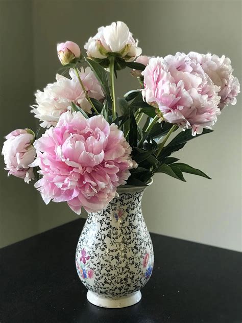 Peonies For Sale Peonies Flower Vase Arrangements Beautiful Flowers Peony Arrangement