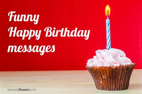 Funny Birthday Messages Pollen Nation Funny Birthday Message Funny Happy Birthday Messages