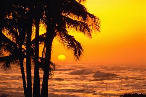 The Sun Is Setting Over The Ocean With Palm Trees