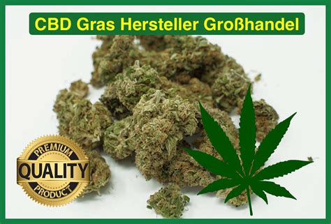 cbd produkte großhandel he hochqualitative cbd blüten