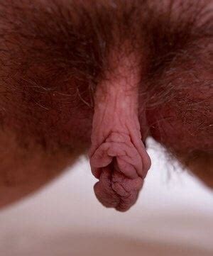 Very Hairy Pit Ass Legs Pussy Variety Pics Xhamster