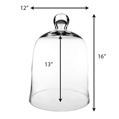 Glass Cloche Dome Terrarium Bell Jar H 16 D 12 In 2020 Glass