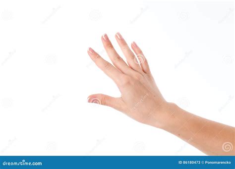 Female Hand Stretched Into The Distance With Your Fingers Is Isolated