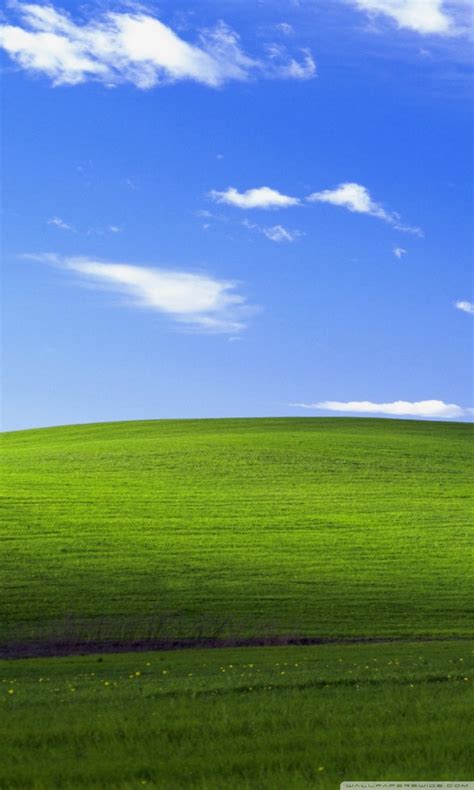 Windows Xp Windows Xp Bliss Background 4k Đẹp Và độ Phân Giải Cao