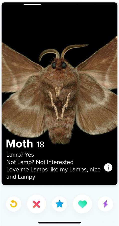 Moth Memes 19 Moth Memes Funny Memes