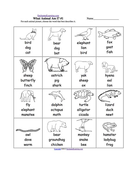 Animals Multiple Choice Spelling Words At
