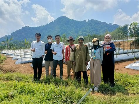 Desa Kiara Sari Terpilih Sebagai Desa Digital 40 Pertanian Di Jawa