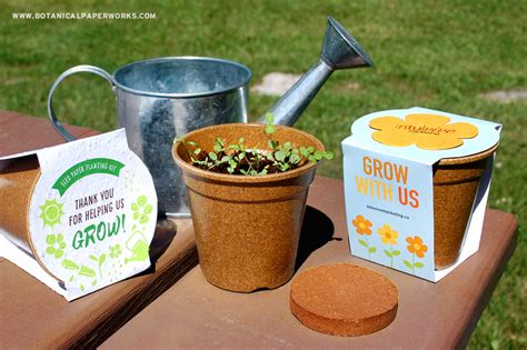 Seed Paper Sprouter Kits Biodegradable Planting Pots For Eco Friendly