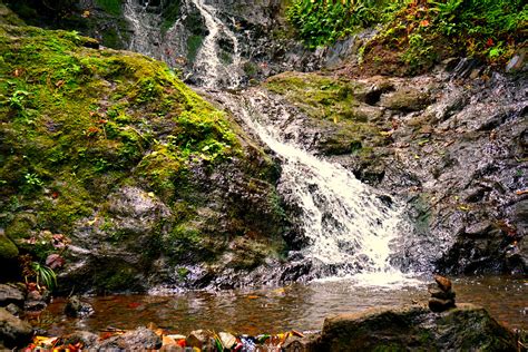 6 Mesmerizing Waterfalls Hikes In Oahu Flavorverse