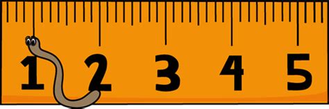 Inches Ruler Clipart Best