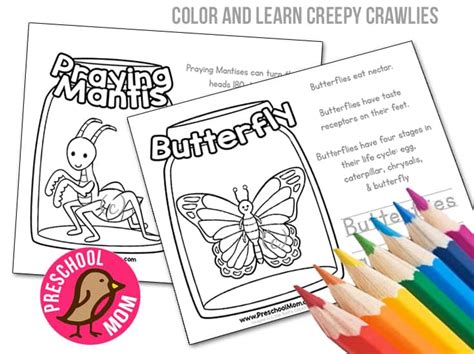 Printable insects coloring page to print and color. Color & Learn Bug Worksheets - Preschool Mom