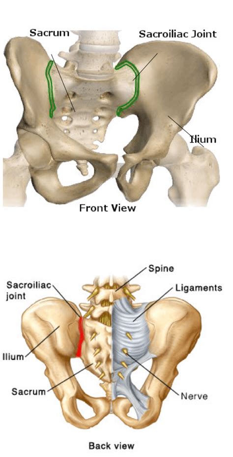 Sacroiliac Joint Dysfunction Excel Spine