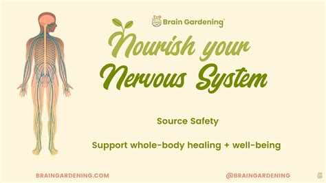 Nourish Your Nervous System Program Preview Self Guided
