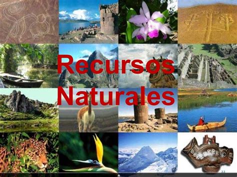 Definicion Y Clasificacion De Los Recursos Naturales