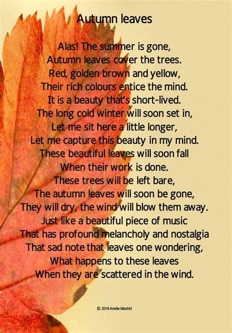 Autumn Leaves Autumn Leaves Rich Color Autumn
