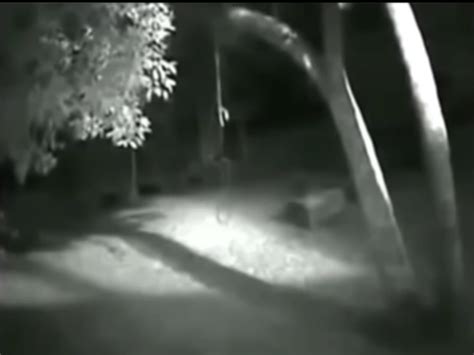 Werewolf Gets Caught On Camera In Brazil Rscaryeddie