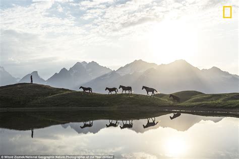 National Geographic Nature Photographer Of The Year Reveal