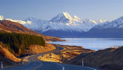 How closely the patient follows instructions. Regional Tourism NZ calling on local governments to brace ...