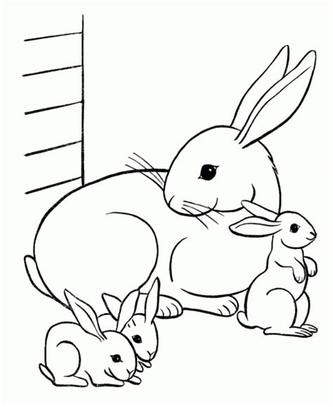 Cute Animal Coloring Pages To Print Animal Coloring Pages Animals