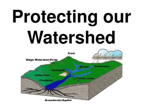 Ppt Protecting Our Watershed Powerpoint Presentation Free Download