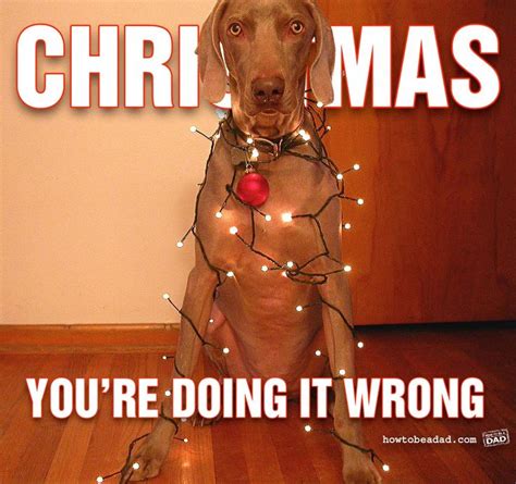 17 Best Images About Funny Stuff On Pinterest Christmas