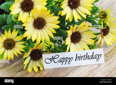 Happy Birthday Card With Yellow Daisies Stock Photo Alamy