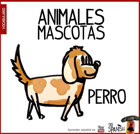 El Perro Vocabulario Animales En Español Las Mascotas Español