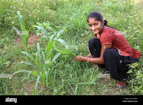 Young Village Woman Near Goverdan High Resolution Stock Photography And