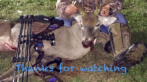 Self Filmed Hunt 12 Point Whitetail Bow Kill Youtube