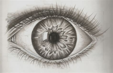 Eye Drawing Realistic Eye Drawing Eye Drawing Drawings
