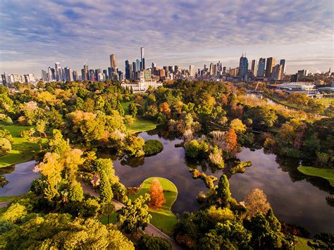 Where To See The Best Autumn Colours In Melbourne My Poppet Living