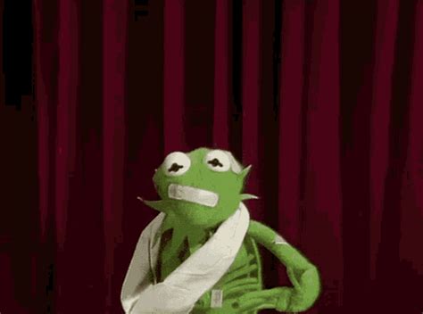 Kermit The Frog Muppets  Find Share On Giphy My Xxx Hot Girl