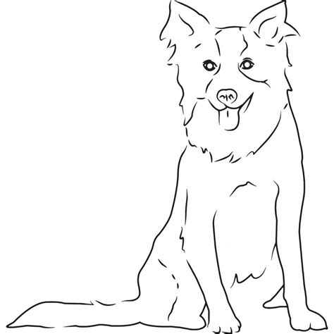 Premium Vector Border Collie Dog Hand Sketched Vector Drawing