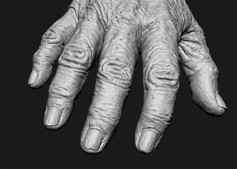 Old Male Realistic Hand 3d Cgtrader