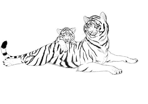 Free Lineart Of Baby And Mom Tiger Female Art Furry Art