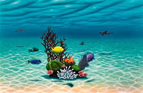 48 Underwater Ocean Wallpaper Murals On Wallpapersafari