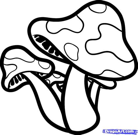 Black And White Mushroom Drawing At Getdrawings Free Download