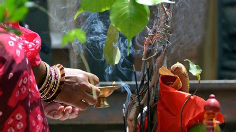 Vat Savitri Vrat 2023 Date कब है वट सावित्री व्रत जानें शुभ मुहूर्त पूजा विधि और सामग्री की