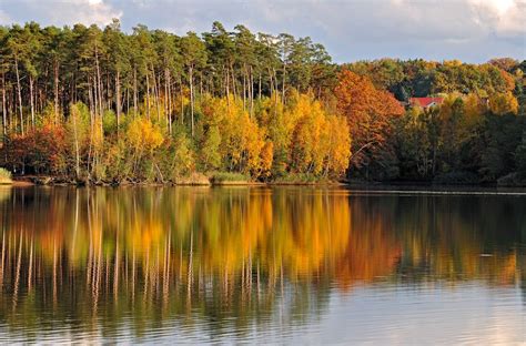 Herbst Am See Foto And Bild Wasser Bäume Gelb Bilder Auf Fotocommunity