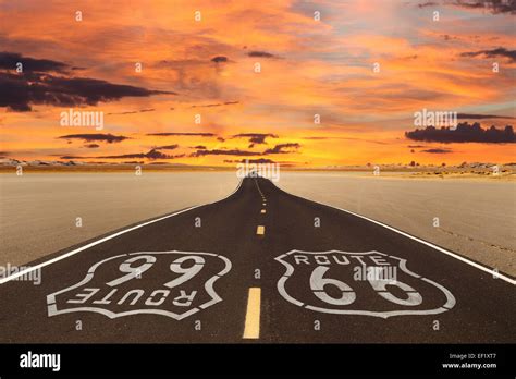 Mojave Court Calendar - Daisy Elberta