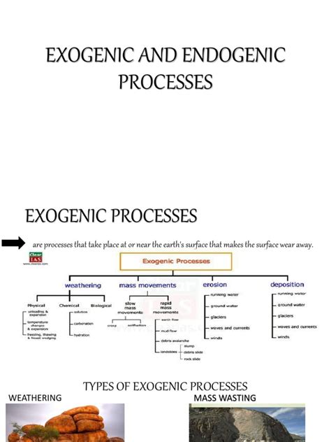 Exogenic And Endogenic Processespptx