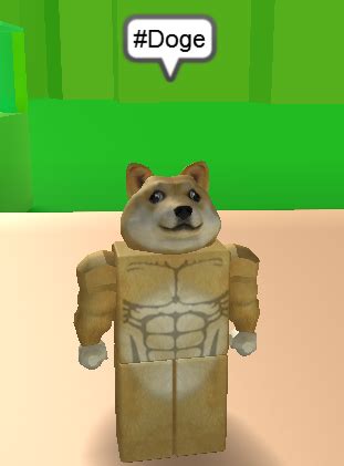 Me and my super doge roblox amino. Roblox Doge (My Brother) by Pikachu-Jenna on DeviantArt