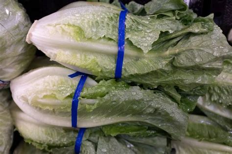The Romaine Lettuce E Coli Outbreak Is Now Over